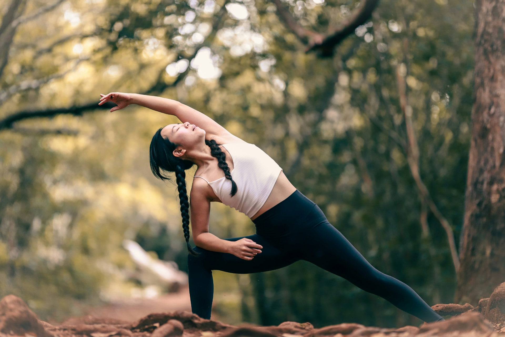 Healthy Aging & Longevity
